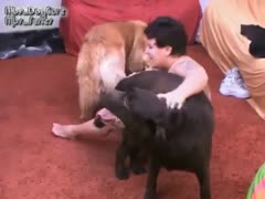 A large, endearing woman plays with two creatures.